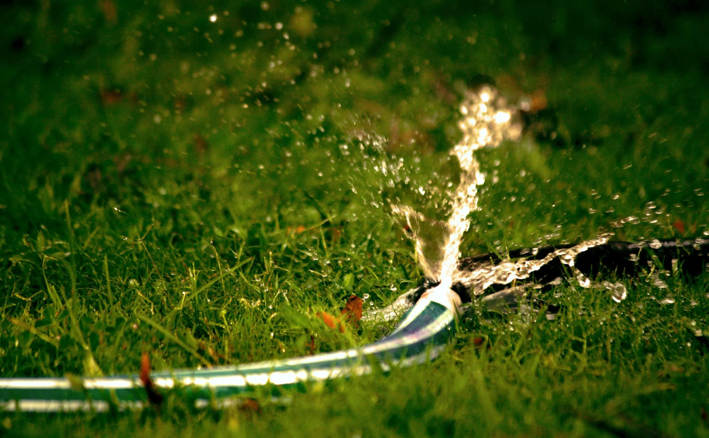Profesional técnico trabajando en una instalación de agua
