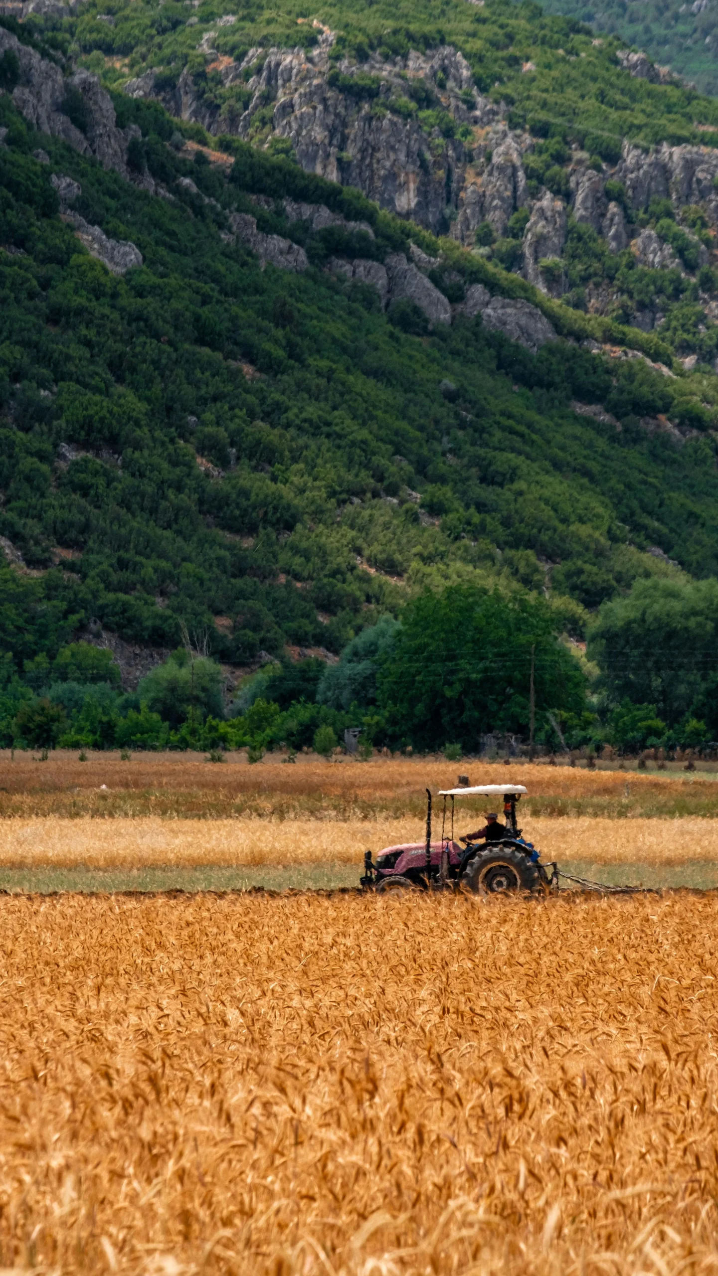 Tractor averiado en el campo esperando reparación