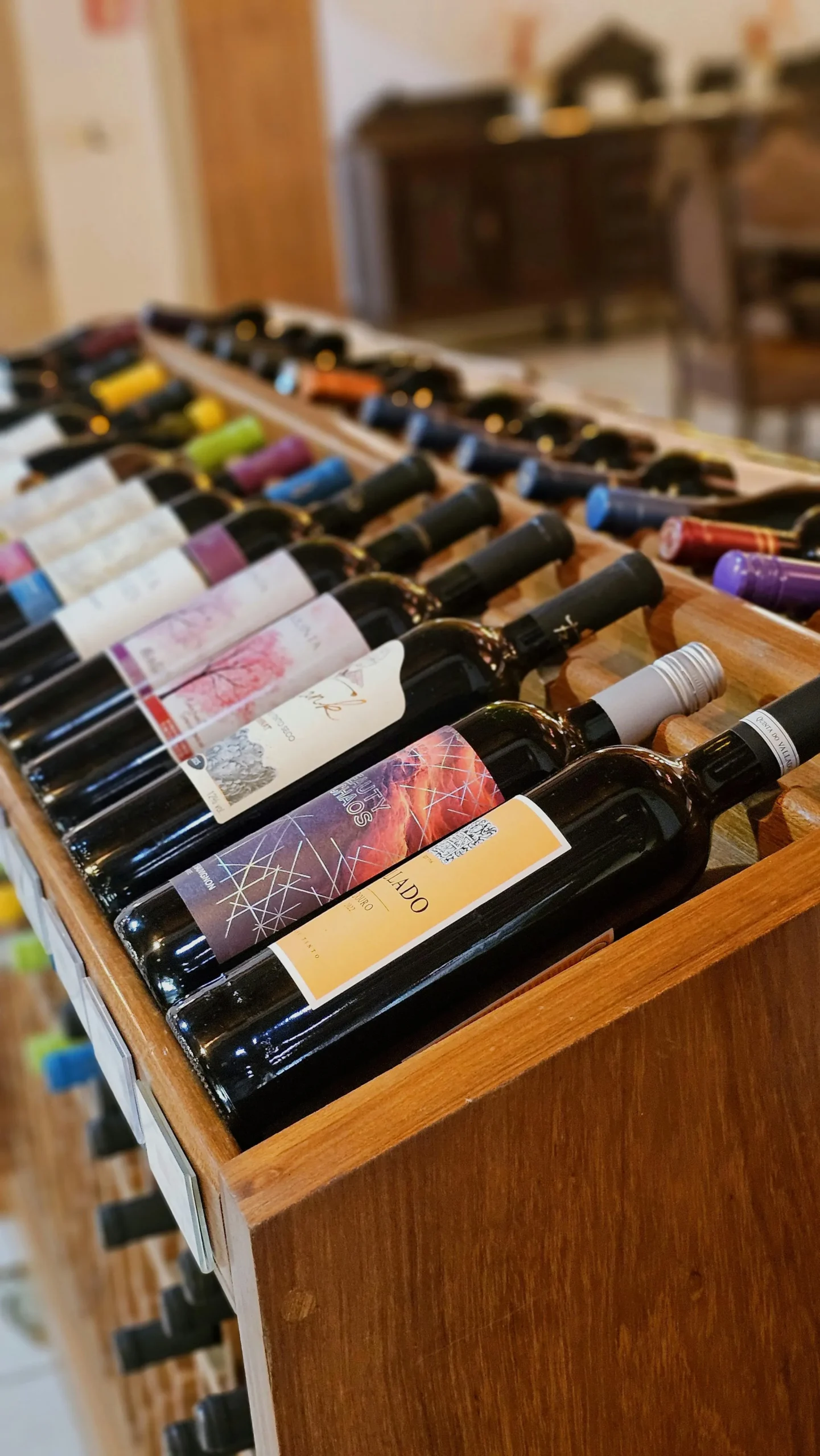 Copa de vino tinto en bodega