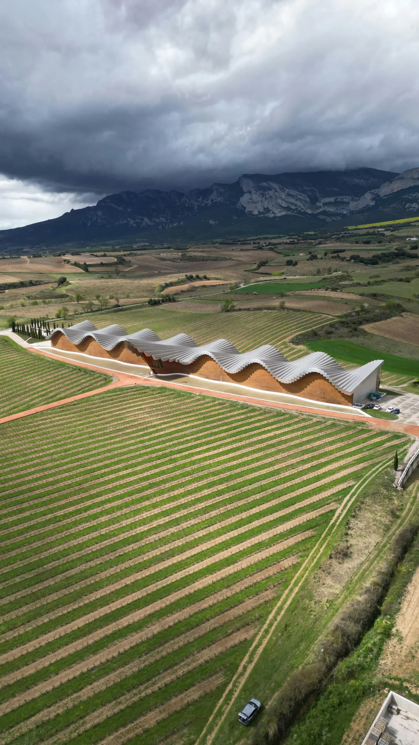 Bodega con poca afluencia de visitantes