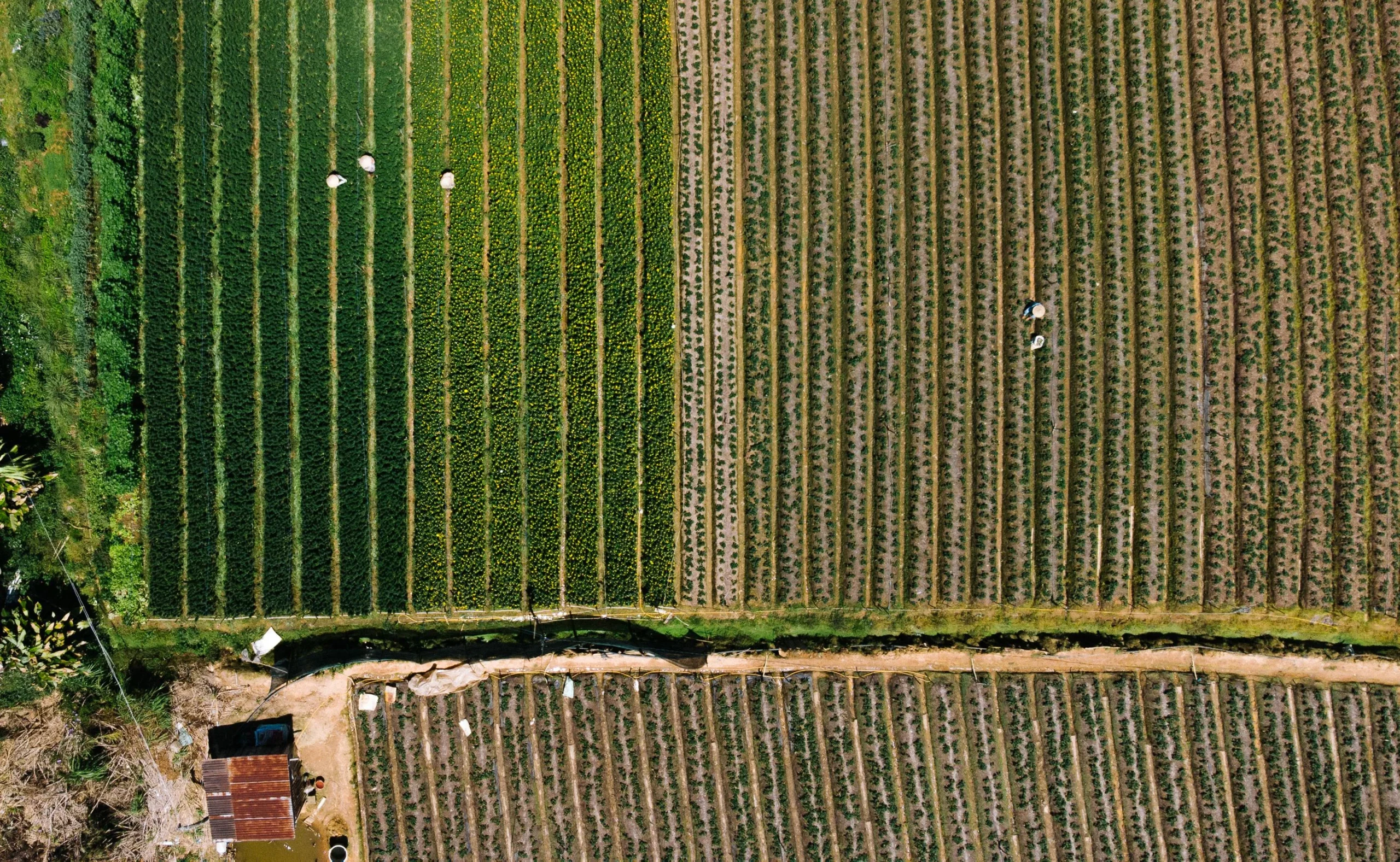 Almacén con productos agroalimentarios envasados