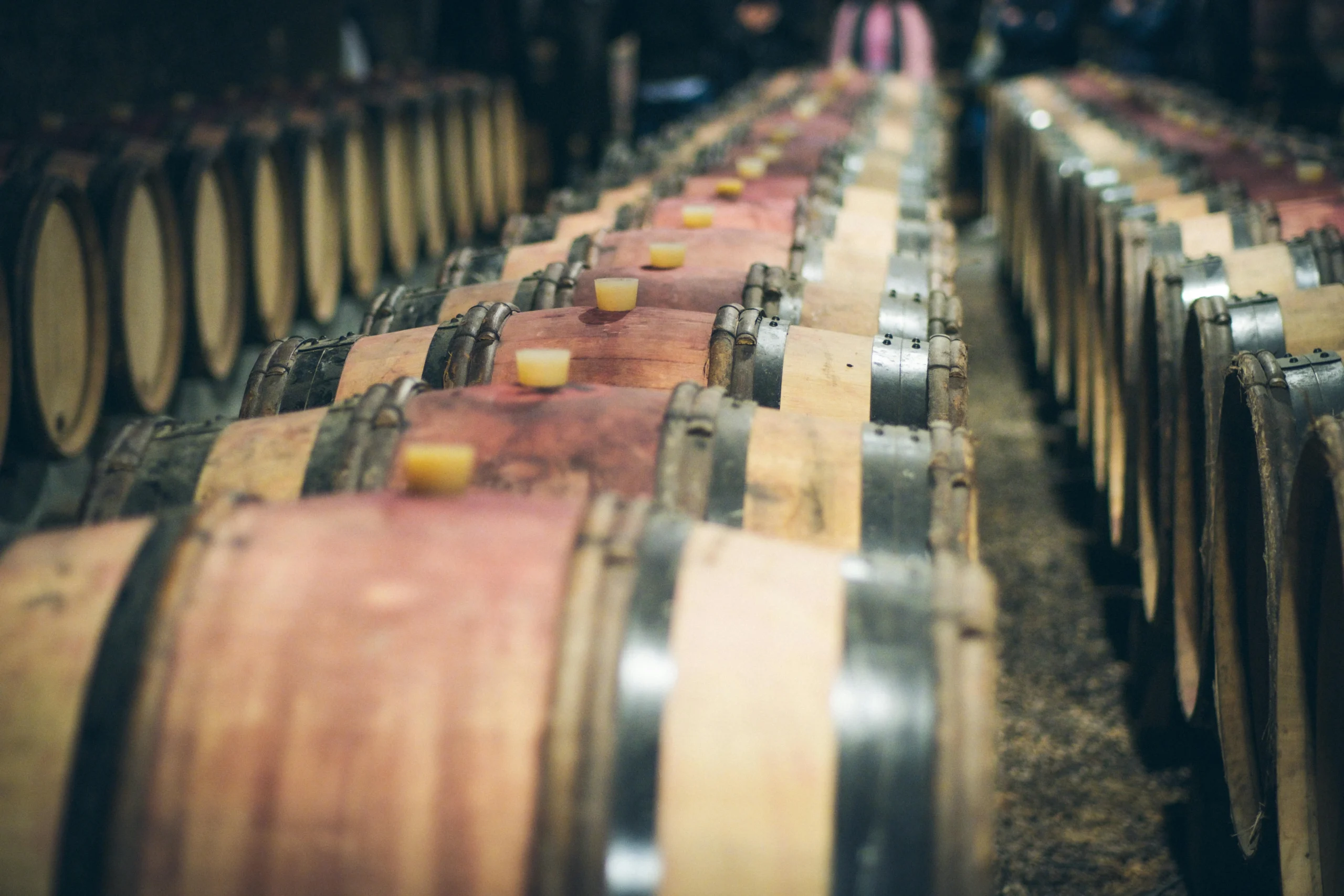 Cliente disfrutando cata de vino en bodega