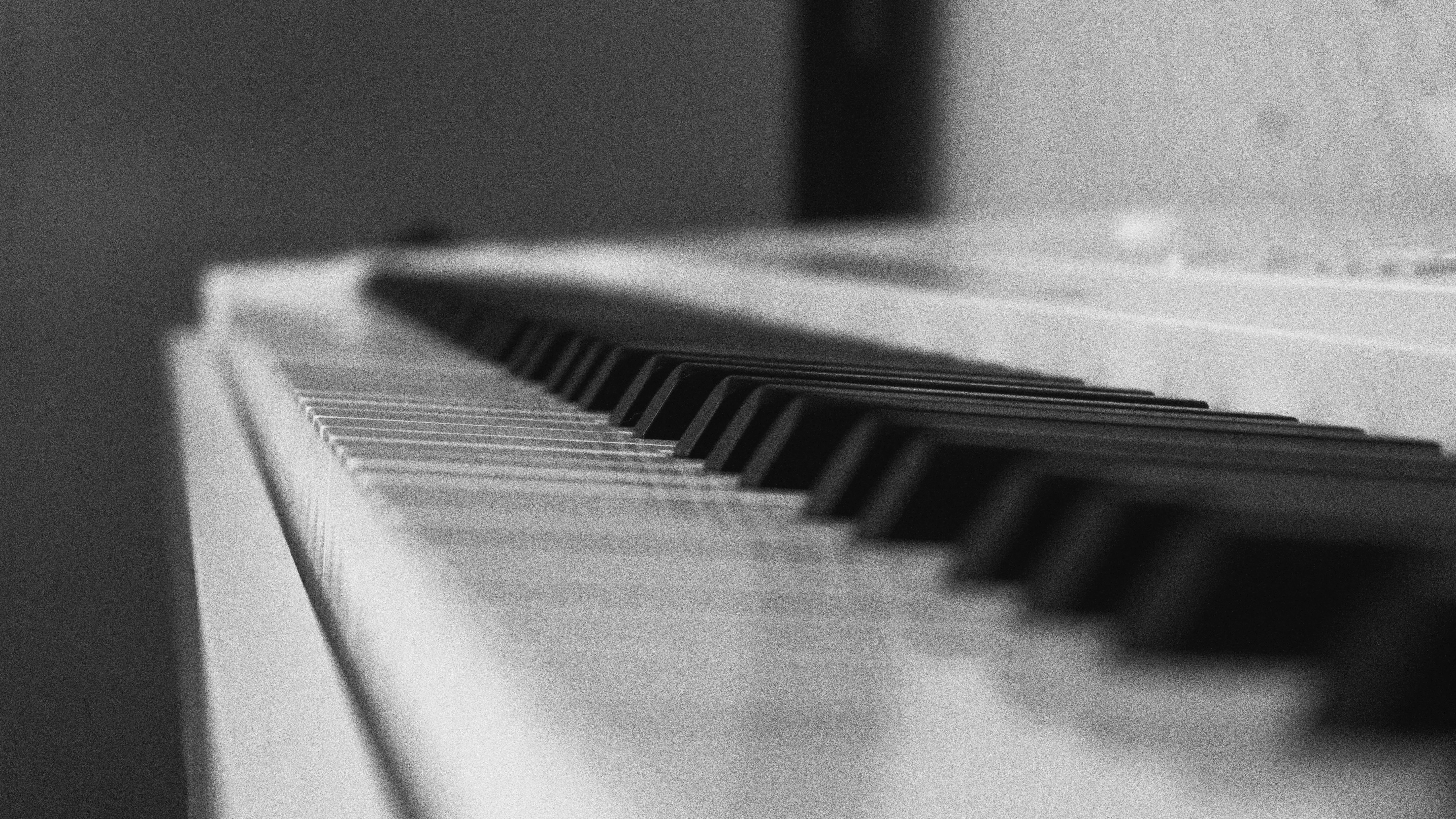 Tienda de instrumentos musicales
